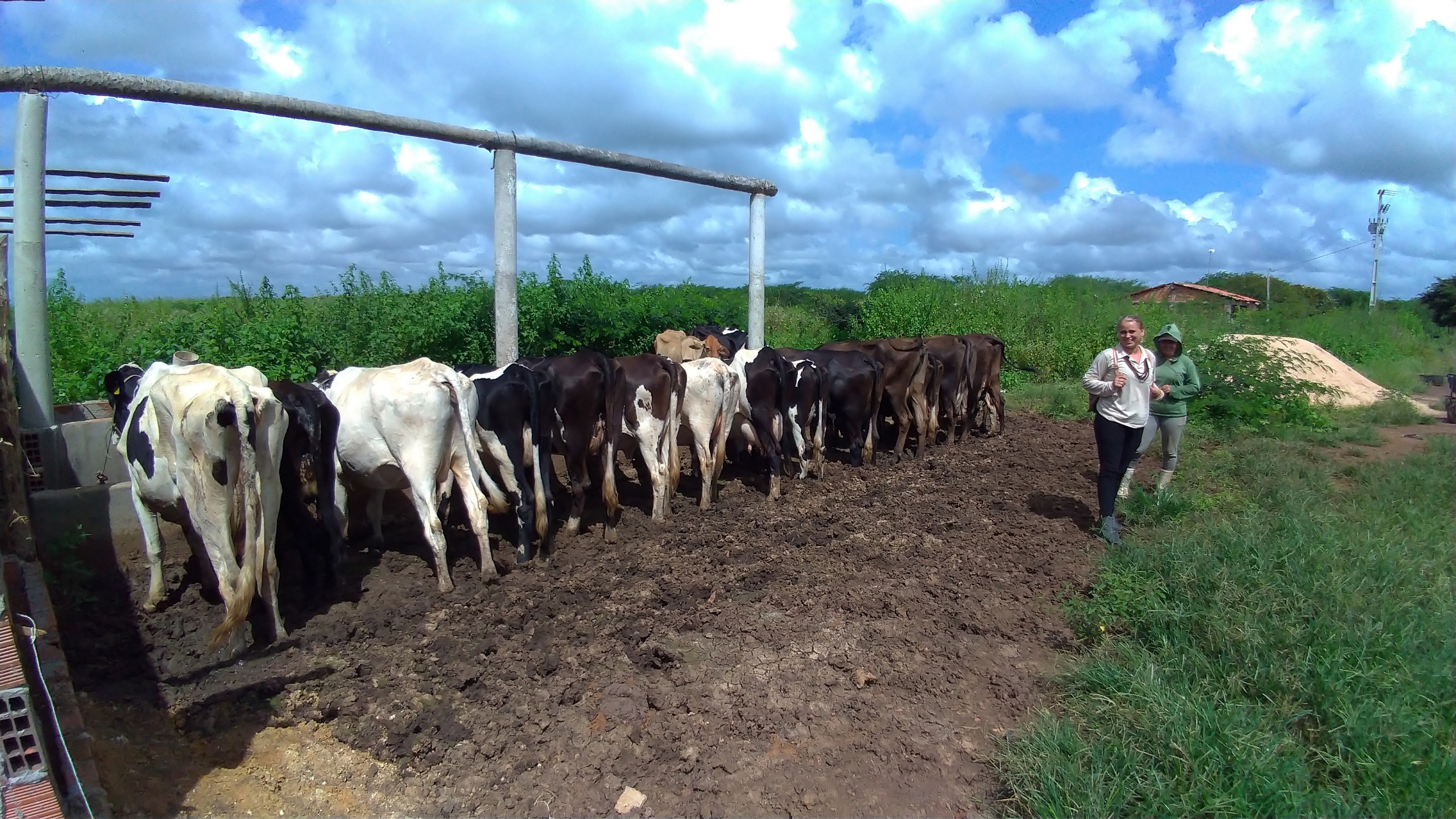 Famílias trabalhando na feira agroecológica de Jaguaribe