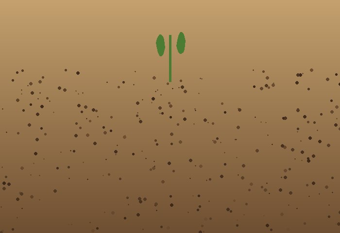 Agroecologia Familiar