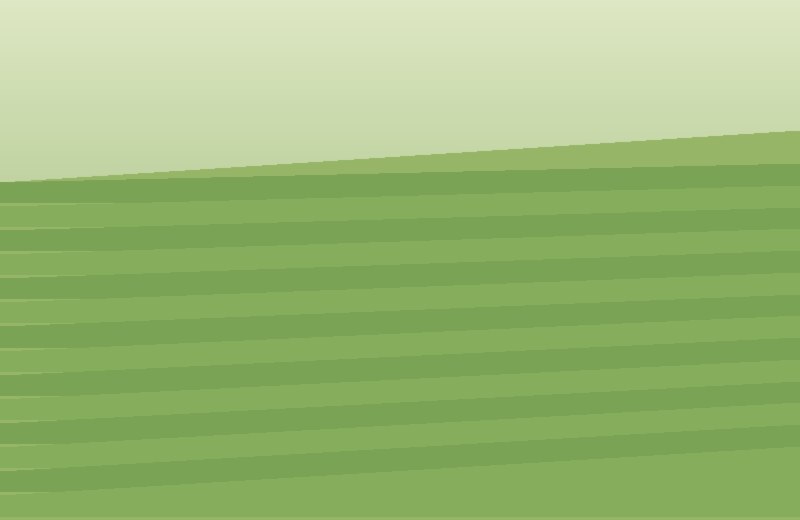 Feira Agroecológica